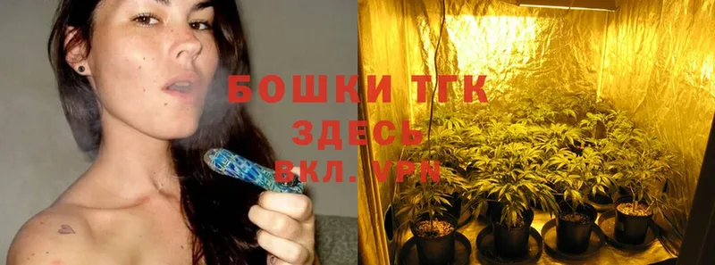 Шишки марихуана THC 21%  Струнино 